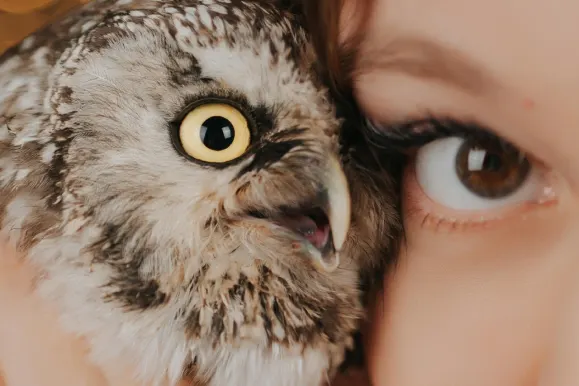 Casino Fever Bingo Stuðningur